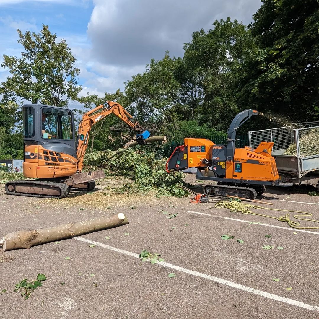 BC120 Excavator Forestry Grab - 2-3 Tonne